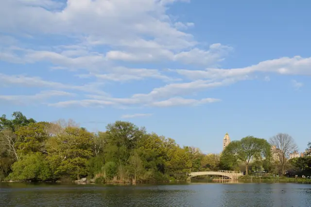 The Lake in Central Park lined with trees, with Bow Bridge in the distance on a sunny spring day