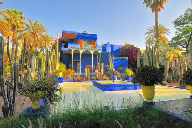 The cobalt-blue villa at Jardin Majorelle framed by cacti, palms and yellow plant pots in Marrakech