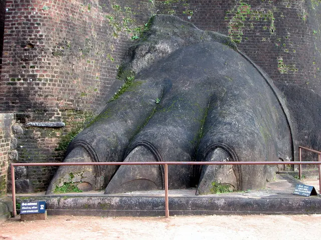 One of the giant carved stone lion paws at the Lion Gate halfway up Sigiriya rock