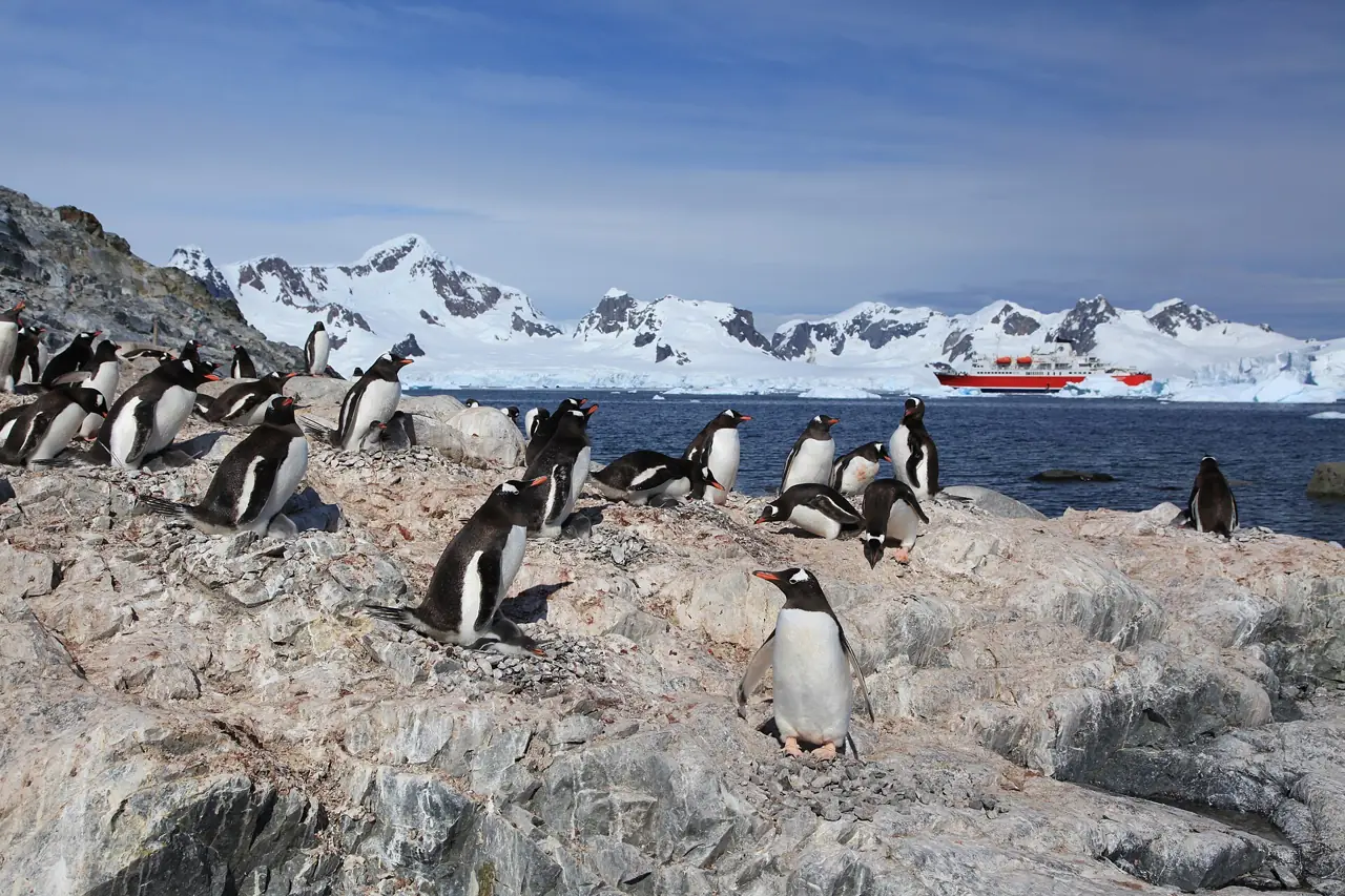 Gentoo penguins on rocks at Waterboat Point with an expedition ship and snow-covered mountains behind