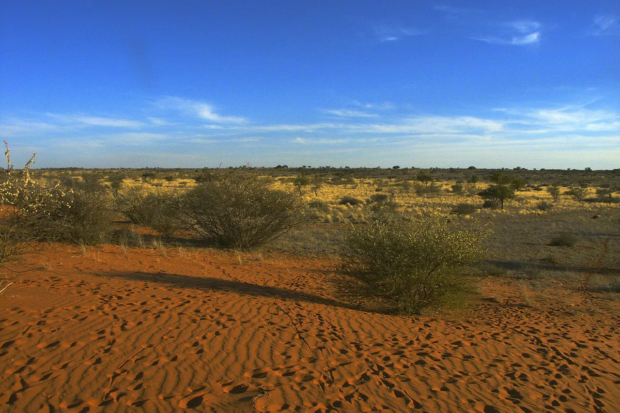 The Kalahari Desert (also spelt Kgalagadi) is an arid region in Botswana and Namibia. Photo : Landscape between City of Mariental and Border to Botswana