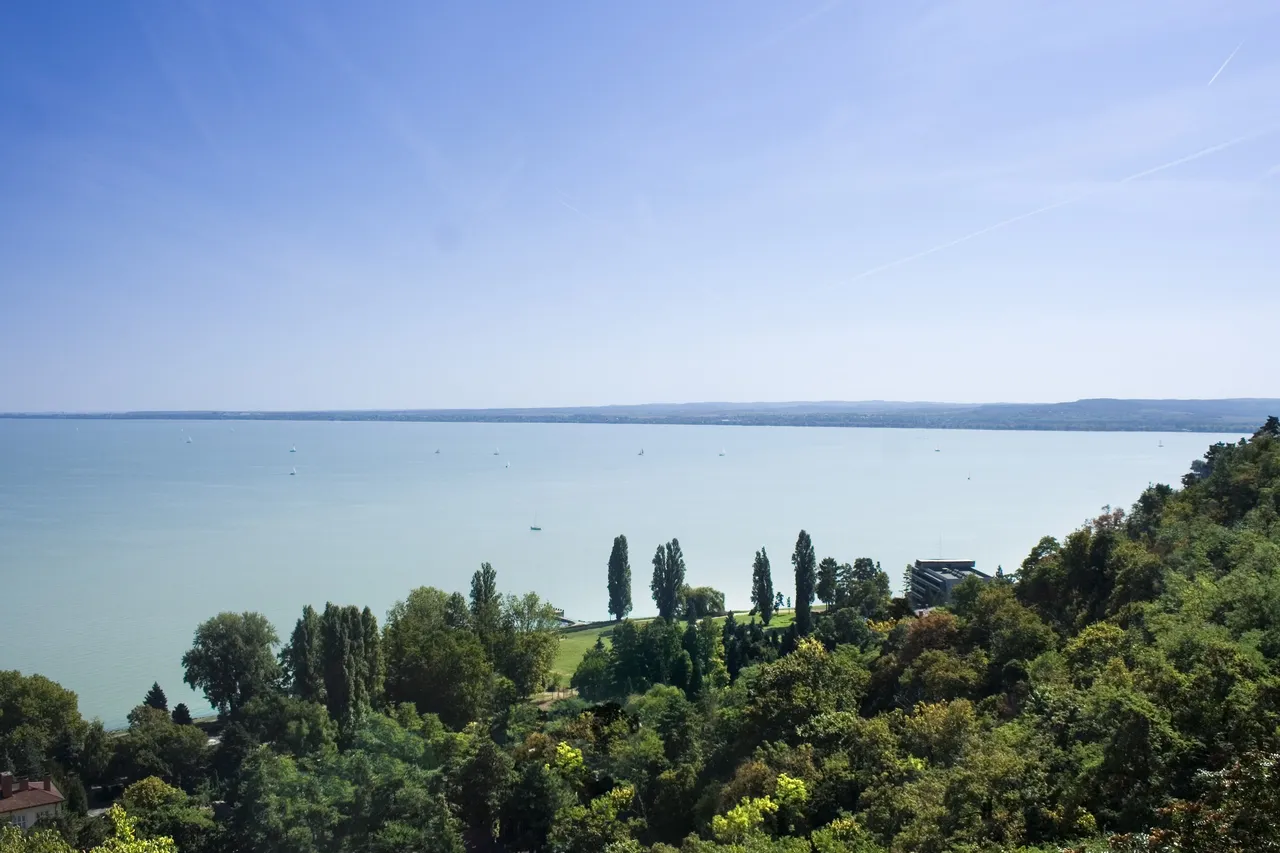 Lake Balaton seen from the wooded Tihany peninsula on a clear summer day, with poplar trees below the viewpoint