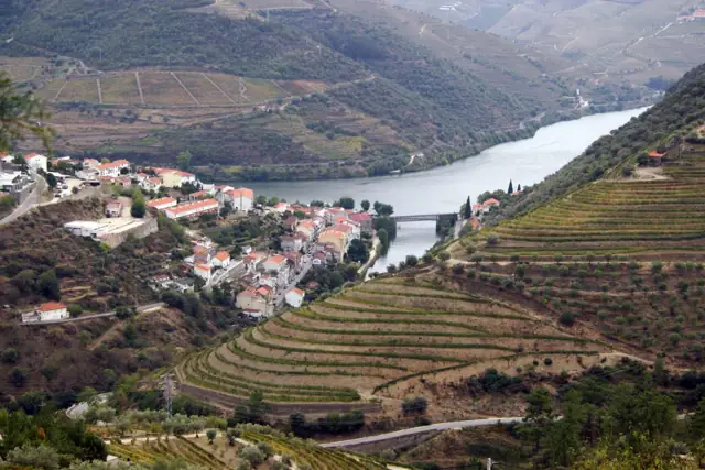 Terraced vineyards running down to the Douro river and the village of Pinhão in northern Portugal