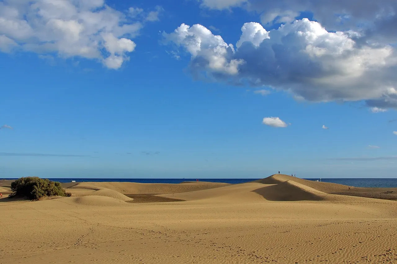 Maspalomas (Gran Canaria): the dunes